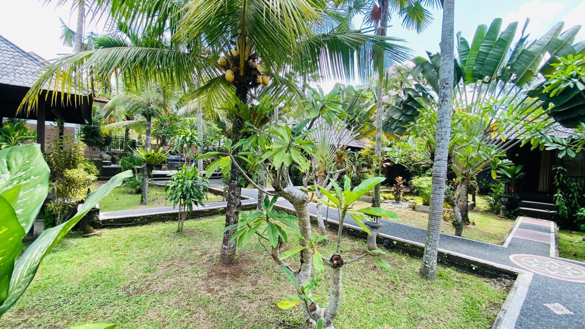 Dong Loka Guesthouse Bali Carangsari Eksteriør billede